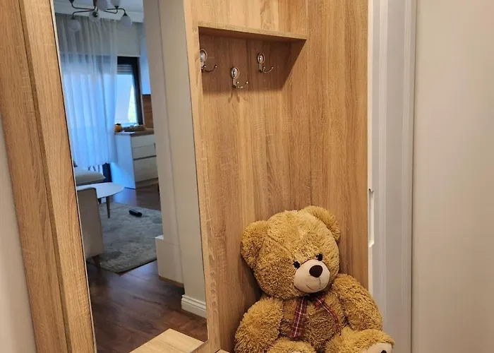 Bosko Vibe Apartament